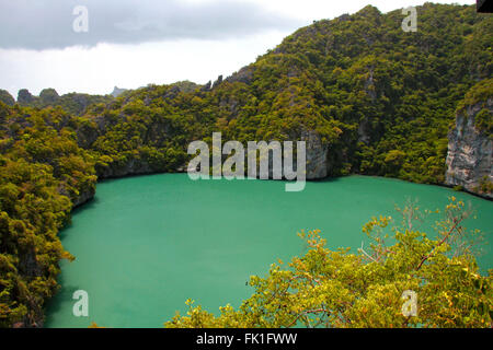 blaue Lagune, Thailand, Angthong National marine Park, Wasser, Vegetation, grün Stockfoto