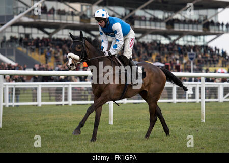 Newbury Racecourse, Berkshire, UK. 5. März 2016. Die Moore Devizes Ltd Unterstützung Muehl Novizen Handicap Hürde Bingo D'olivate und Wayne Hutchinson Pass die Post gut klar Credit: Michael Stevens / Alamy News Credit: Michael Stevens/Alamy Live News Stockfoto