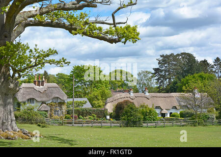 New Forest Lyndhurst Hampshire ländliche strohgedeckte Landhäuser in Swan Green Landschaftslandschaft im New Forest National Park England Großbritannien Stockfoto