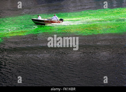 Chicago River wird von Mitgliedern der Chicago Klempner Union grün für die jährliche St. Patricks Day Feier gefärbt. Stockfoto