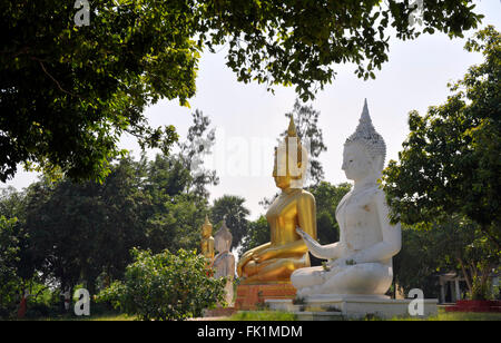 Bereich der Buddhastatuen im Wat Phai Rong Wua, Suphanburi, Thailand. Stockfoto