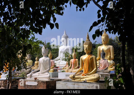 Bereich der Buddhastatuen im Wat Phai Rong Wua, Suphanburi, Thailand. Stockfoto