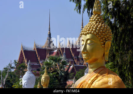 Bereich der Buddhastatuen im Wat Phai Rong Wua, Suphanburi, Thailand. Stockfoto