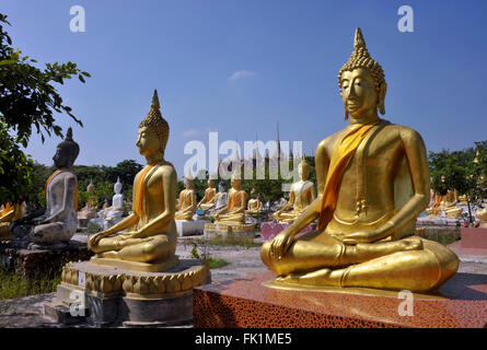 Bereich der Buddhastatuen im Wat Phai Rong Wua, Suphanburi, Thailand. Stockfoto