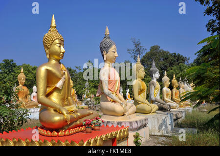 Bereich der Buddhastatuen im Wat Phai Rong Wua, Suphanburi, Thailand. Stockfoto