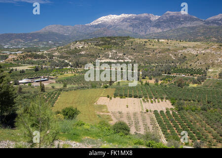 Blick auf die Landschaft von der Ausgrabungsstätte Phaestos, Crete, Griechenland. Stockfoto