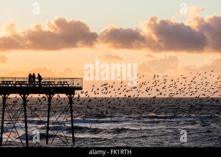 Aberystwyth, Wales, UK. 5. März 2016. Großbritannien Wetter. Th e Sonne geht südlich von der Pier in Aberystwyth wie die Stare zurückkehren, um unter Schlafplatz. (C) Phil Jones Credit: Philip Jones/Alamy Live-Nachrichten Stockfoto