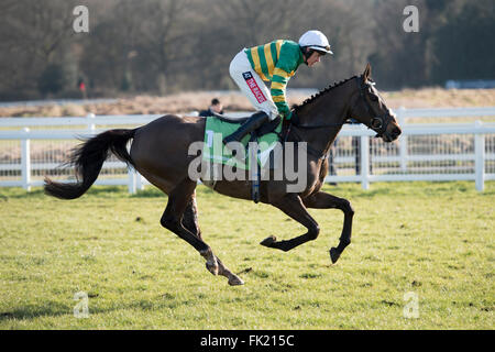 Newbury Racecourse, Berkshire, UK 5. März 2016 Shutthefrontdoor und Barry Geraghty nach Anfechtung der StanJames.com interna Stockfoto