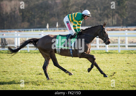 Newbury Racecourse, Berkshire, UK 5. März 2016 Shutthefrontdoor und Barry Geraghty nach Anfechtung der StanJames.com interna Stockfoto