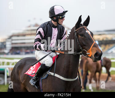 Newbury Racecourse, Berkshire, UK 5. März 2016 Sam Abenteuer und Danny Cook vor dem Gewinn der DBS Spring Sales Stoßstange Stockfoto