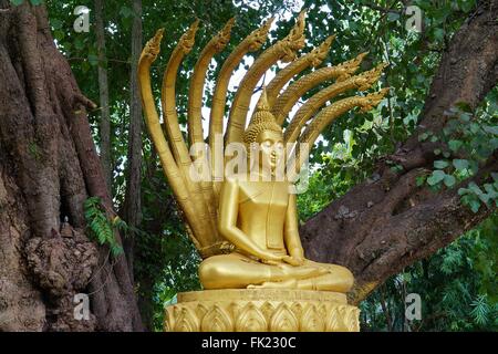 Der Tempel Wat Aham (Kloster des Herzens geöffnet) in Luang Prabang, Laos Stockfoto