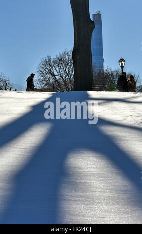 Schatten der Bäume im Central Park im Winter in New York City. Stockfoto