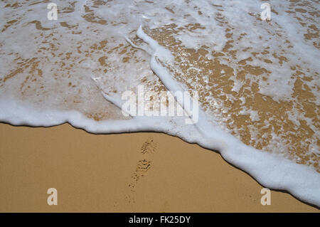 Strand-Szene in Albandeira Strand. Veranden, Algarve, Portugal Stockfoto