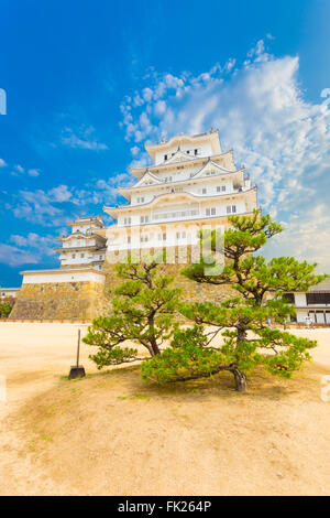 Vordergrund Bäume innerhalb der Bergfried des Hofes auf Basis der Burg Himeji-Jo Burg an einem klaren sonnigen Tag in Himeji, Japa Stockfoto