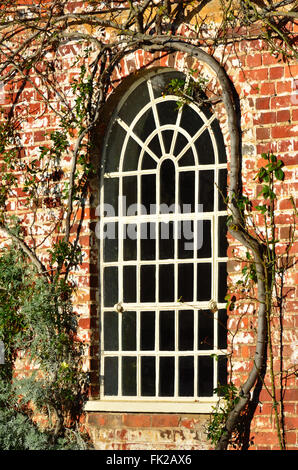 Weiße Fenster in rotem Backstein Stockfoto