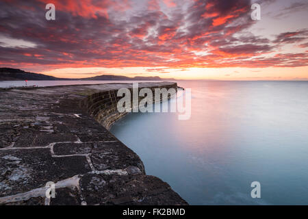 Die Cobb, Lyme Regis Dorset 6. März 2016.  UK-Wetter: Der historische Cobb Hafenmauer bei Lyme Regis in Dorset, mit einem roten Himmel über die spektakuläre Küste der Jurassic Coast Momente vor Sonnenaufgang.  Bild: Graham Hunt/Alamy Live-Nachrichten. Stockfoto