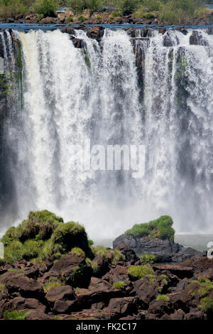 Teil der Iguazu fällt, von der brasilianischen Seite, eines der sieben Naturwunder der Welt gesehen Stockfoto