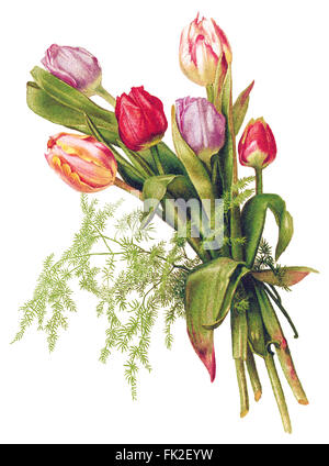 Abbildung von einem Bouquet von roten und rosa Tulpen. Stockfoto