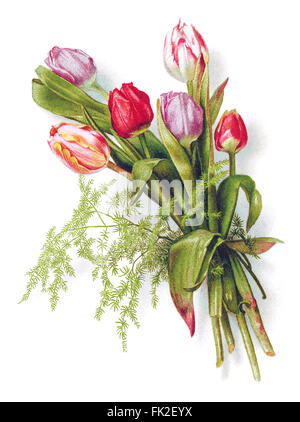 Abbildung von einem Bouquet von roten und rosa Tulpen mit Schatten. Stockfoto