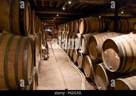 Bierfässer in der Cantillon Brauerei in Brüssel, Belgien. Stockfoto