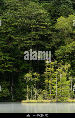 Myojin Teich im Chubu Sangaku Nationalpark, Nagano, Japan Stockfoto