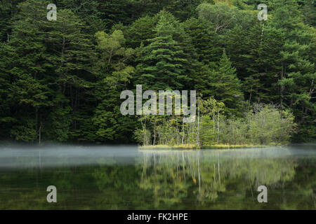 Myojin Teich im Chubu Sangaku Nationalpark, Nagano, Japan Stockfoto