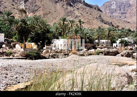 Wadi Tiwi und dem trockenen Flussbett im Sommer, Oase, zwischen den Bergen, Oman Stockfoto