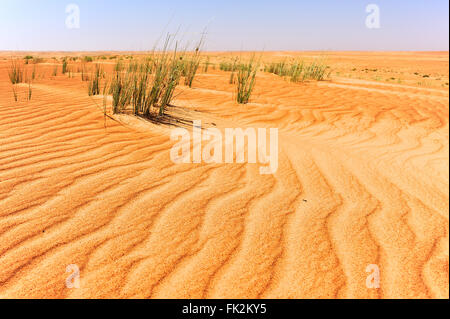 Dünen in Sharqiya Sand, Wüste des Oman Stockfoto