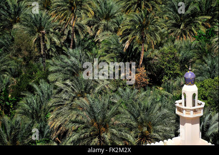 Wadi Tiwi, Palmen und Minarett in das Sultanat Oman Stockfoto