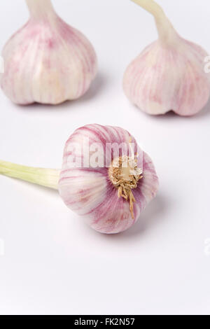 Drei frische Zwiebeln Knoblauch auf weißem Hintergrund Stockfoto