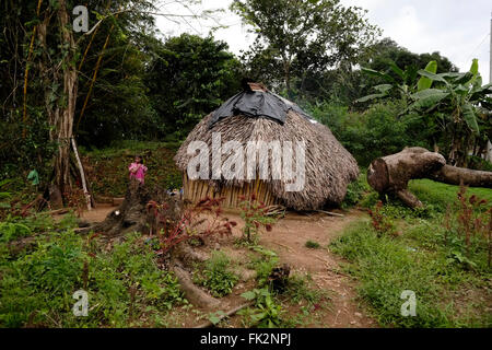 Strohhütten der einheimischen ethnischen Gruppe Ngabe & Bugle in der Region Comarca Quebrado, Guabo Reservat in der Provinz Chiriqui Republik Panama Stockfoto