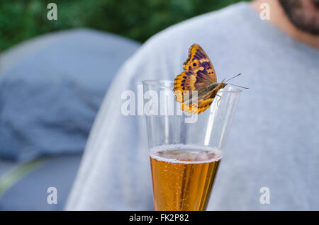 Freyer lila Kaiser Schmetterling trinken Sekt Horizontal Stockfoto