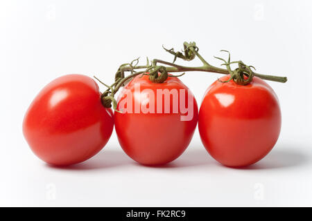 Frische rote Tomaten auf A Rebe auf weißem Hintergrund Stockfoto