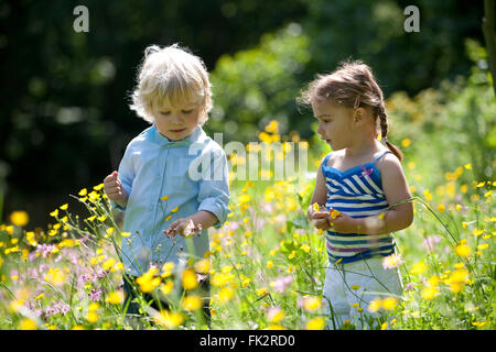 Kleine Jungen und Mädchen im Park Blumen pflücken Stockfoto