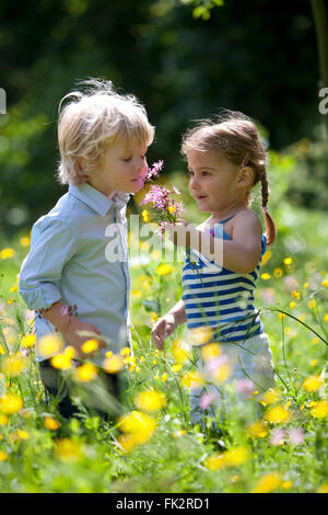 Kleine Jungen und Mädchen im Park Blumen pflücken Stockfoto