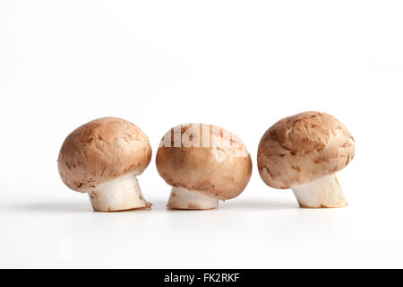 Frische rohe Kastanie Pilze auf weißem Hintergrund Stockfoto