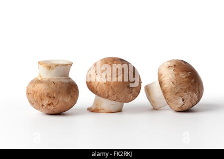 Frische rohe Kastanie Pilze auf weißem Hintergrund Stockfoto