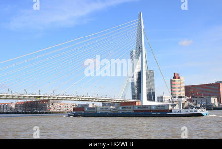 Berühmten Erasmus-Brücke (Erasmusbrücke), Rotterdam, Niederlande Entworfen von Ben van Berkel, UNStudio, 1996 Stockfoto