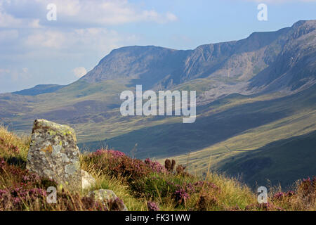 Landschaft um den See Cregennan und Cadair Idris Gwynedd Wales Stockfoto