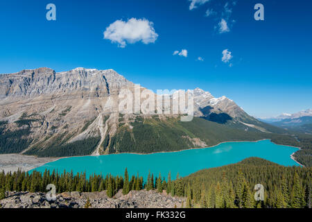 Türkis Gletscher Peyto Lake, Banff Nationalpark, Kanadische Rockies, Provinz Alberta, Kanada Stockfoto