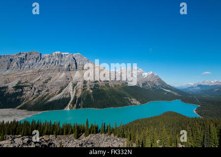 Türkis Gletscher Peyto Lake, Banff Nationalpark, Kanadische Rockies, Provinz Alberta, Kanada Stockfoto