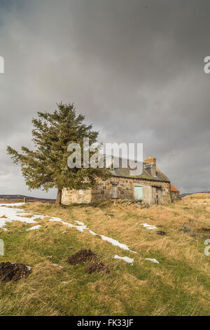 Croft Ruinen auf Dava Moor in Schottland. Stockfoto