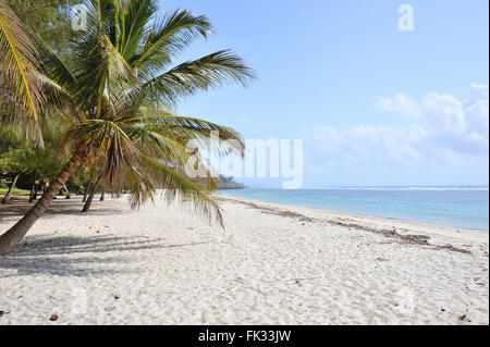 Weiten Strand mit Palmen am Indischen Ozean Stockfoto