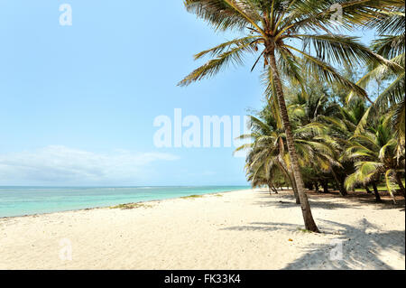 Kokosnuss-Palmen und wunderschöne blaue Meer entspannen und träumen Stockfoto