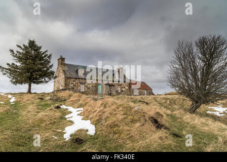 Croft Ruinen auf Dava Moor in Schottland. Stockfoto