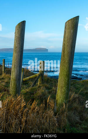 Dunnet Head vom Küstenweg in der Nähe von Scarfskerry, Caithness, Schottland, UK. Stockfoto