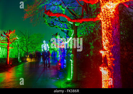 Park Leuchten, Park-Illumination, im Gruga-Park, einem öffentlichen Park in Essen, Deutschland, jährliche Lichtshow im Park im Winter, Stockfoto