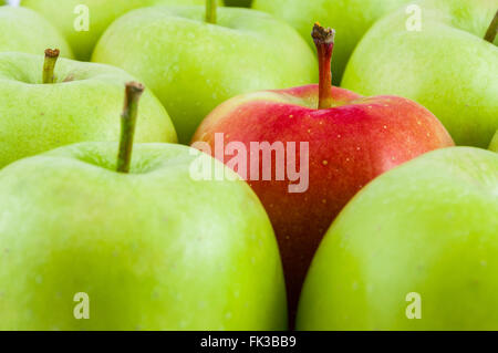 Nahaufnahme von einem roten Apfel unter grünen Äpfeln Stockfoto