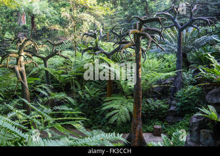 Evolution Garten - machen Sie eine Reise durch die Zeit, von den feurigen Anfängen unseres Planeten zu den ersten Lebewesen und gradua Stockfoto