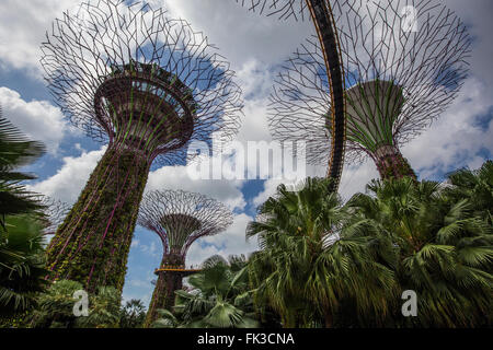 Moderne Architektur und Vertikale Gärten von Singapur Stockfotografie